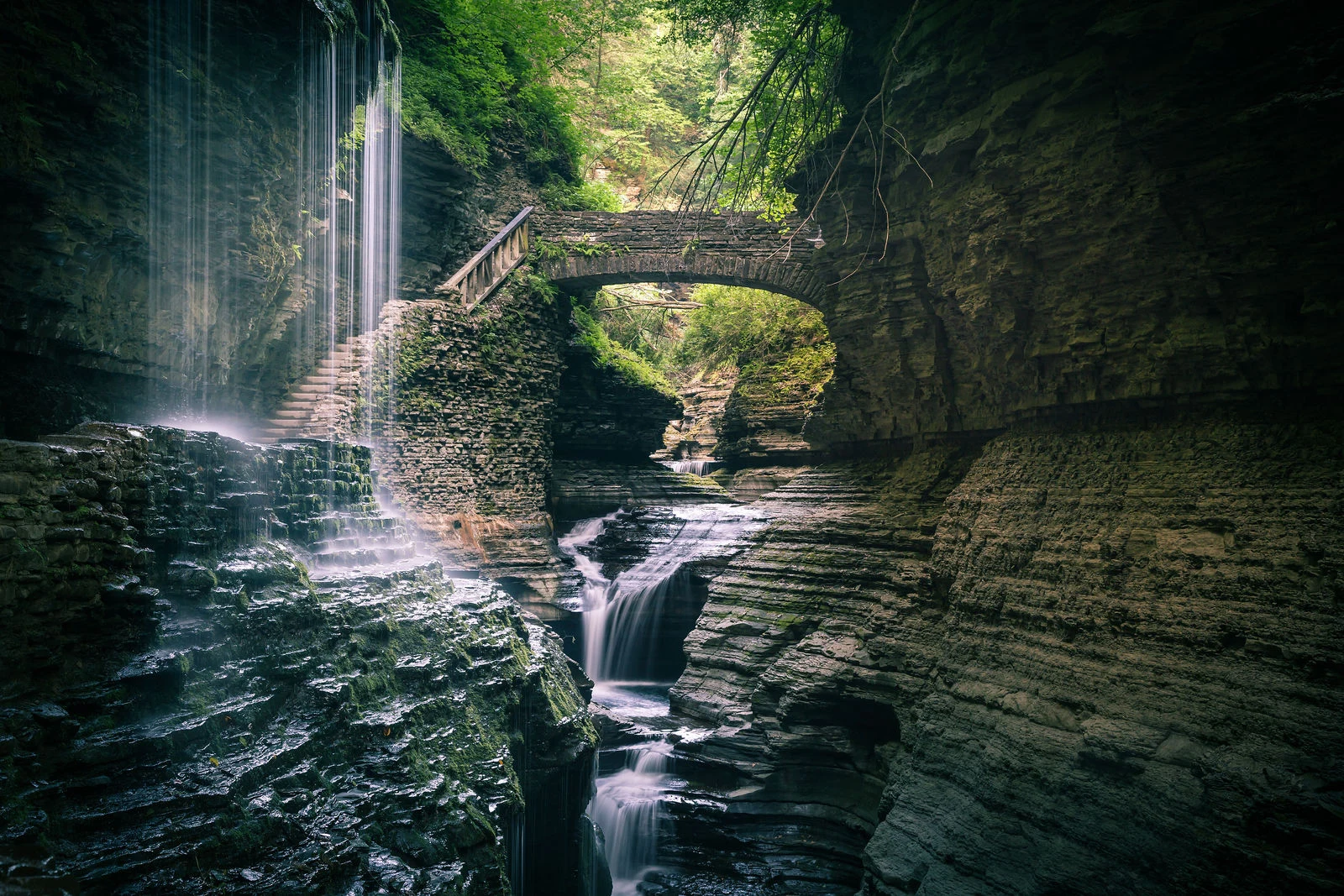 Woodland gorge and stone bridge